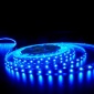 Светодиодная лента SMD3528, 30LED/м, 12 v цвет синий (blue)