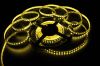 Светодиодная лента SMD3528, 120LED/м, 12 v, цвет теплый белый
